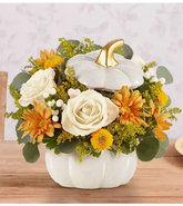 Plentiful White Pumpkin™